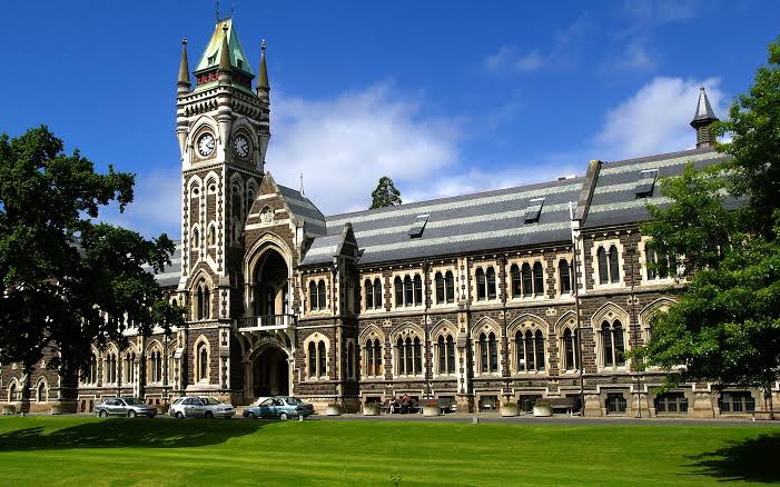 University Enrollements